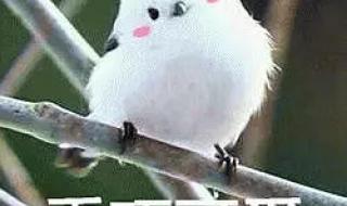 推荐好听的英文歌